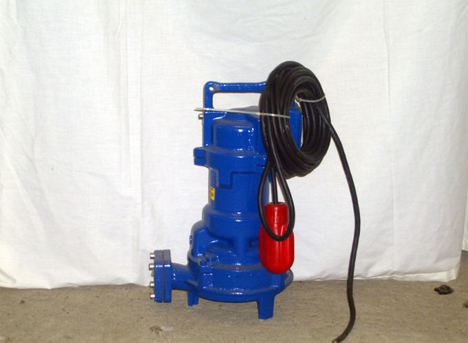 Water Pumps Picture 4